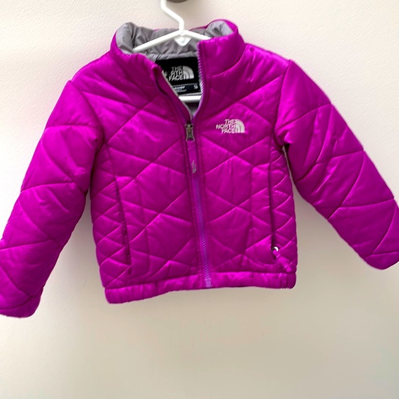 The North Face Jackets & Coats North Face Girls Puffer Jacket 2t
